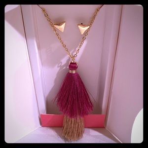 Tassel Necklace and Earring Set